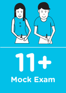 11+ St. Paul’s Juniors Mock Exam